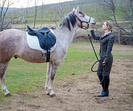 Gallop by Cristina Dutu