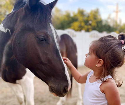 Gallop by Cristina Dutu