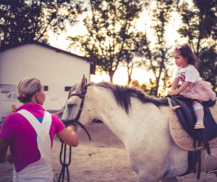 Gallop by Cristina Dutu