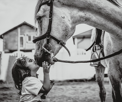 Gallop by Cristina Dutu